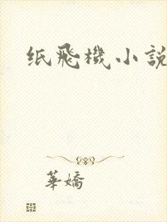 纸飞机小说