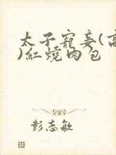 太子宠妾(高肉)红烧肉包封面