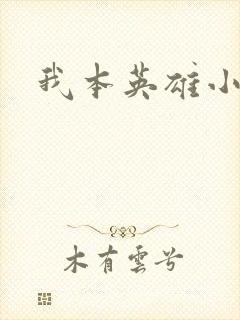 我本英雄小说封面