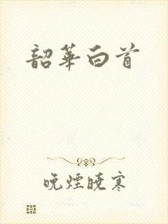 韶华白首封面