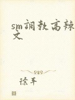sm调教高辣h文