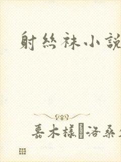 射丝袜小说