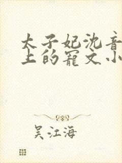 太子妃沈音和皇上的宠文小说