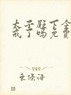 太子殿下今天破戒了吗免费阅读封面