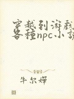 穿越到游戏里和各种npc小说