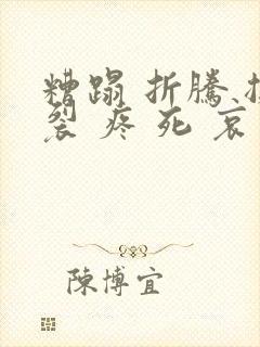 糟蹋 折腾 撕裂 疼 死 哀求封面