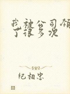 我被公司领导C了很多次