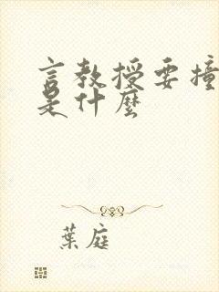 言教授要撞坏了是什么