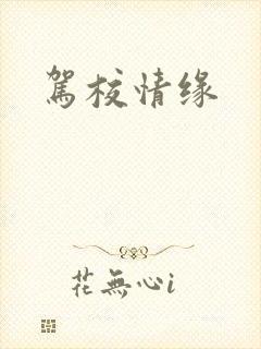 驾校情缘