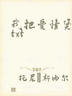 我把爱情煲成汤txt
