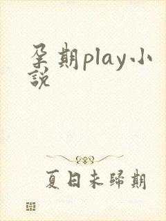 孕期play小说