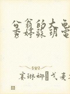 公翁的大龟挺进秀婷苏玥电影