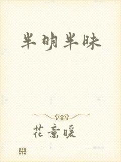 半明半昧
