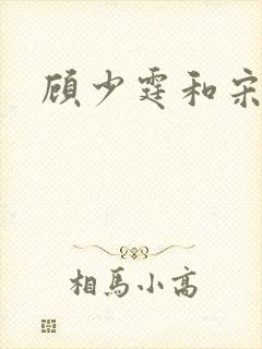 顾少霆和宋斯曼