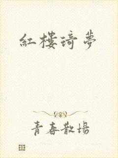 红楼琦梦