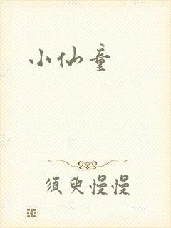 小仙童封面
