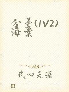 分羹(1V2)海棠