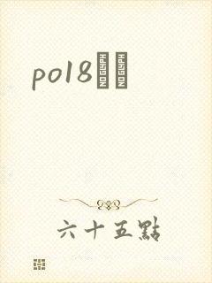 po18С˵封面