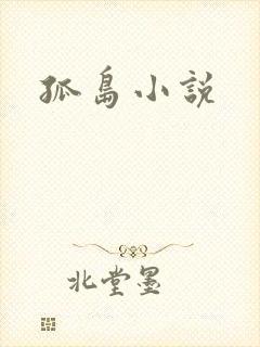 孤岛小说