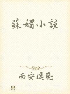 苏媚小说
