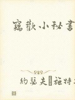 窃欢小秘书