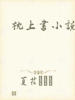 枕上书小说