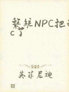 系统NPC把我c了