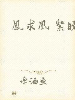 凤求凰 紫晓