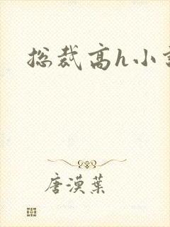 总裁高h小说