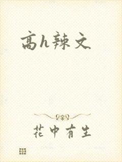 高h辣文