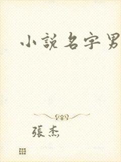 小说名字男生