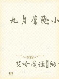 九月鹰飞小说封面
