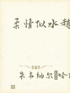 柔情似水赵雅儿