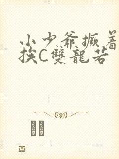 小少爷撅着屁股挨C双龙若封面