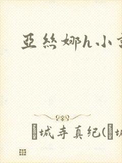 亚丝娜h小说封面