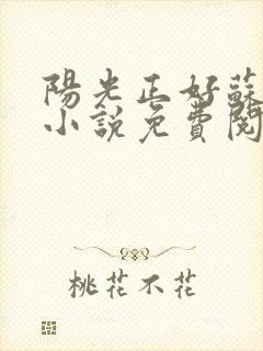 阳光正好苏玥玥小说免费阅读封面
