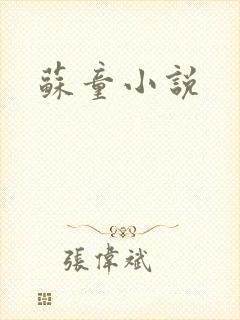 苏童小说