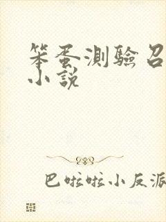 笨蛋测验召唤兽小说