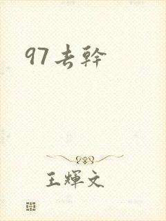 97去干封面