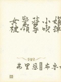 女警蒋小娟的奶被领导吃掉了封面