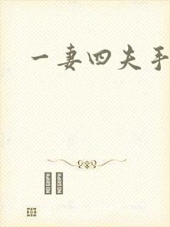 一妻四夫手记