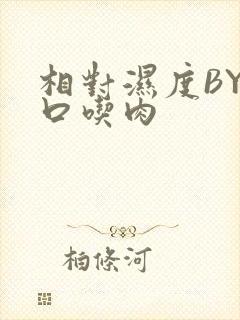相对湿度BY大口吃肉封面