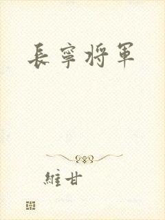 长宁将军封面
