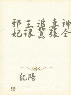 邪王追妻神医狂妃很嚣张全文免费