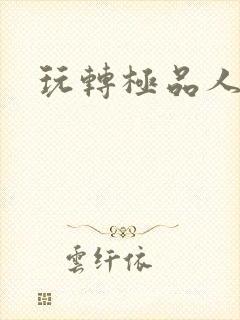 玩转极品人生封面