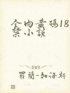全肉黄码18无禁小说