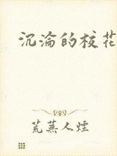 沉沦的校花