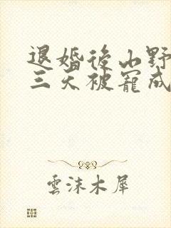 退婚后山野糙汉三天被宠成宝小说