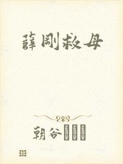 薛刚救母