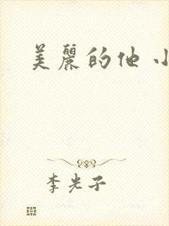 美丽的他 小说封面